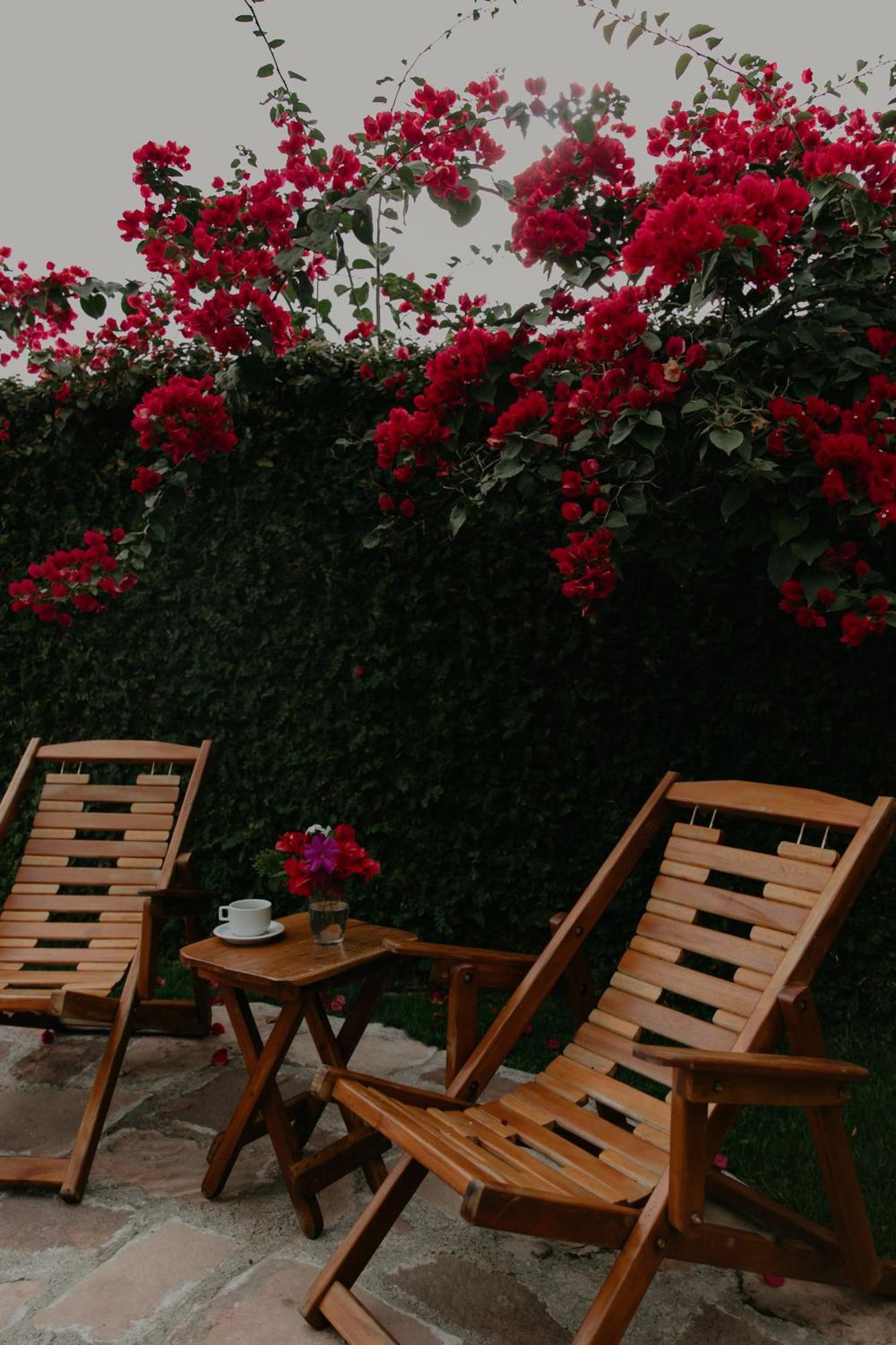 Pousada Primavera Hotel มูกูเจ ภายนอก รูปภาพ